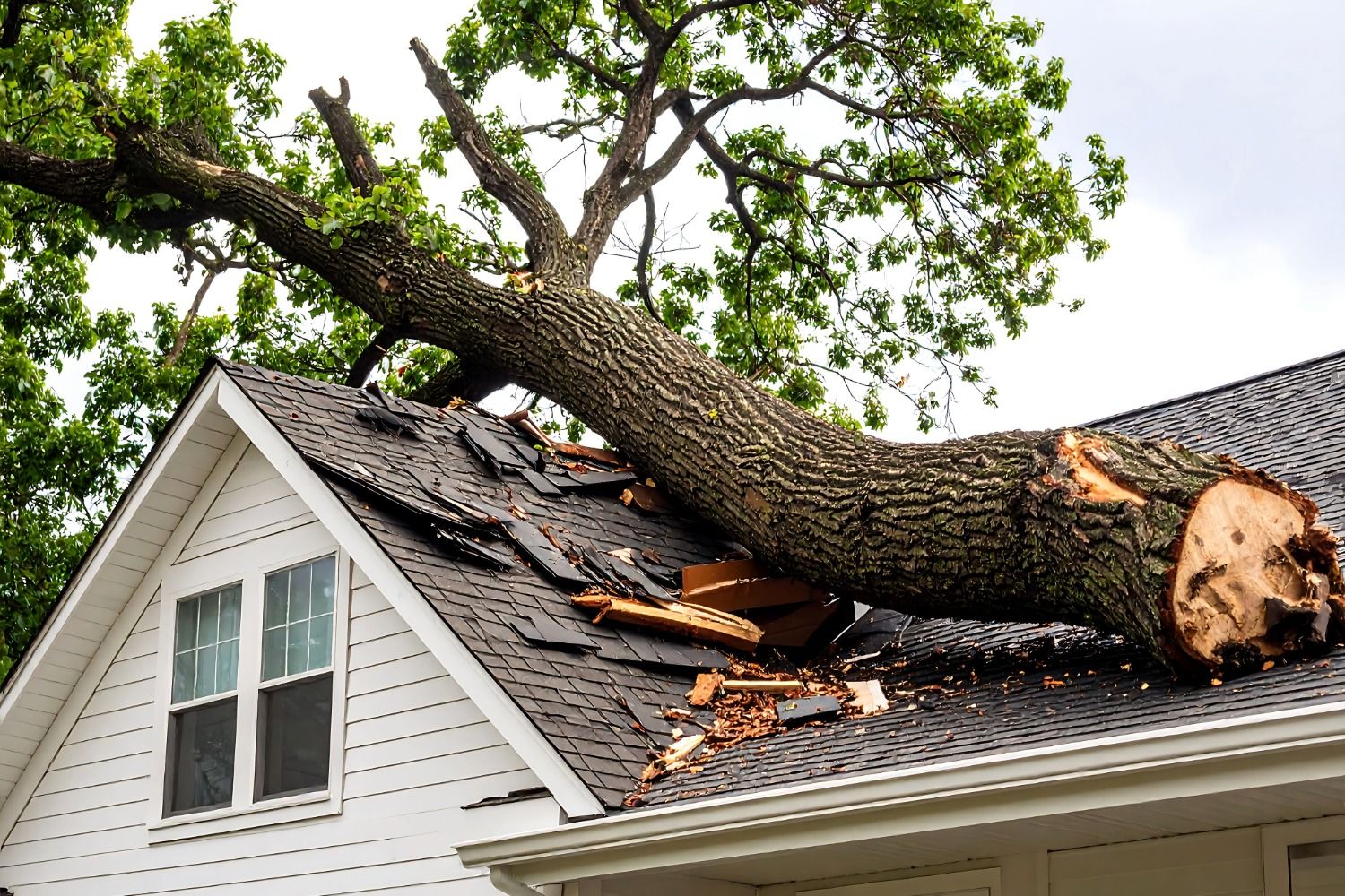 A view of the ACTEnviro company sign in San Jose